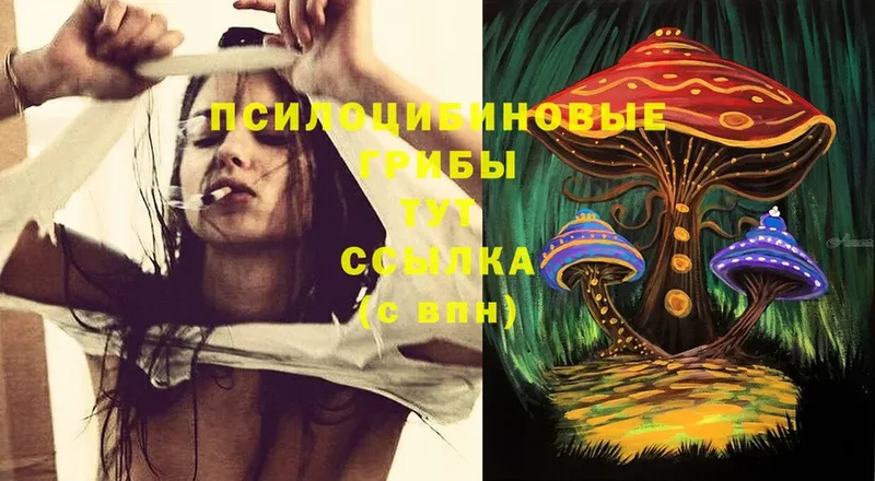 это официальный сайт  omg ссылки  Емва  Галлюциногенные грибы Psilocybine cubensis 